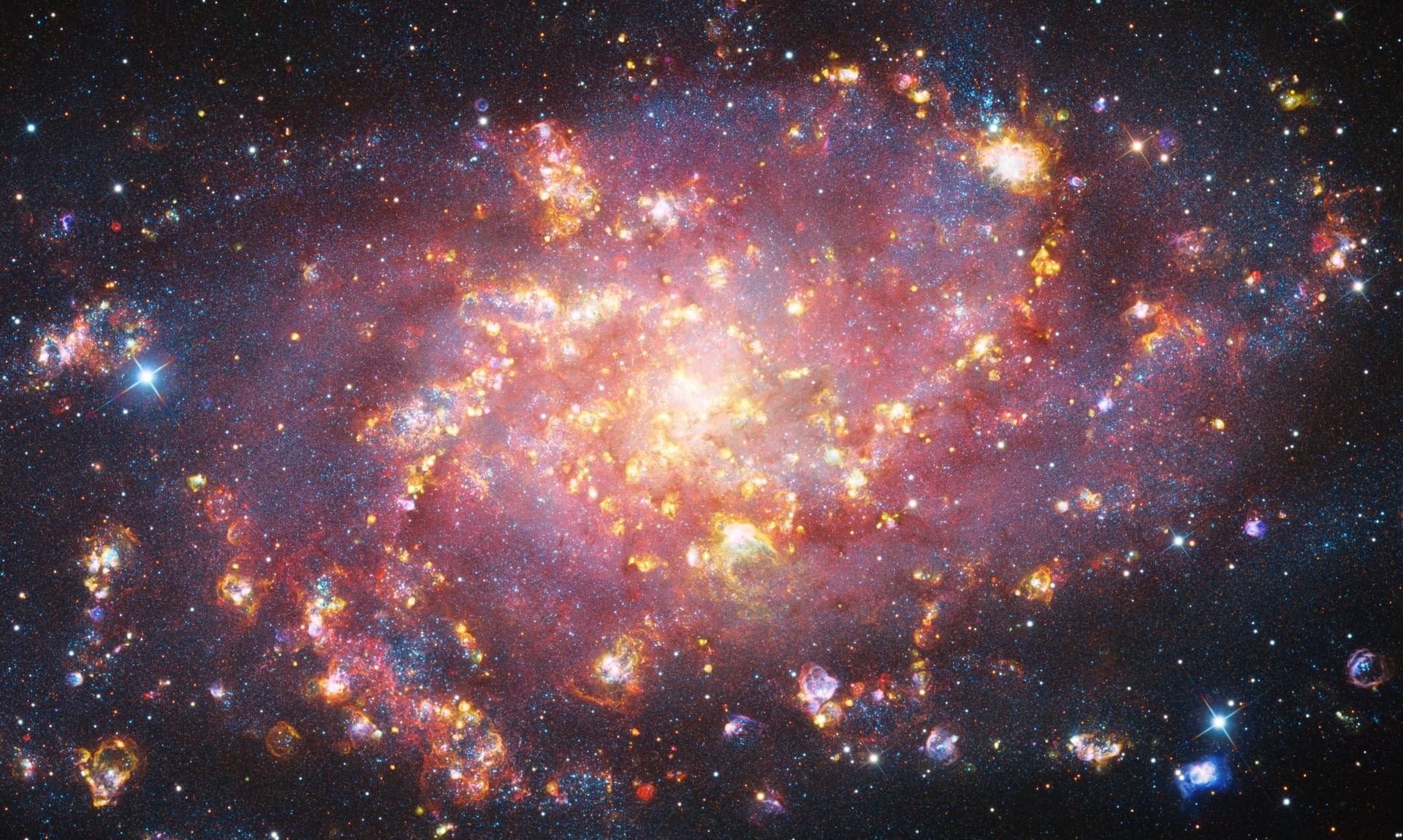 Солнечная бездна и огромная комета: 20 лучших фото с Astronomy Photographer of the Year 2025