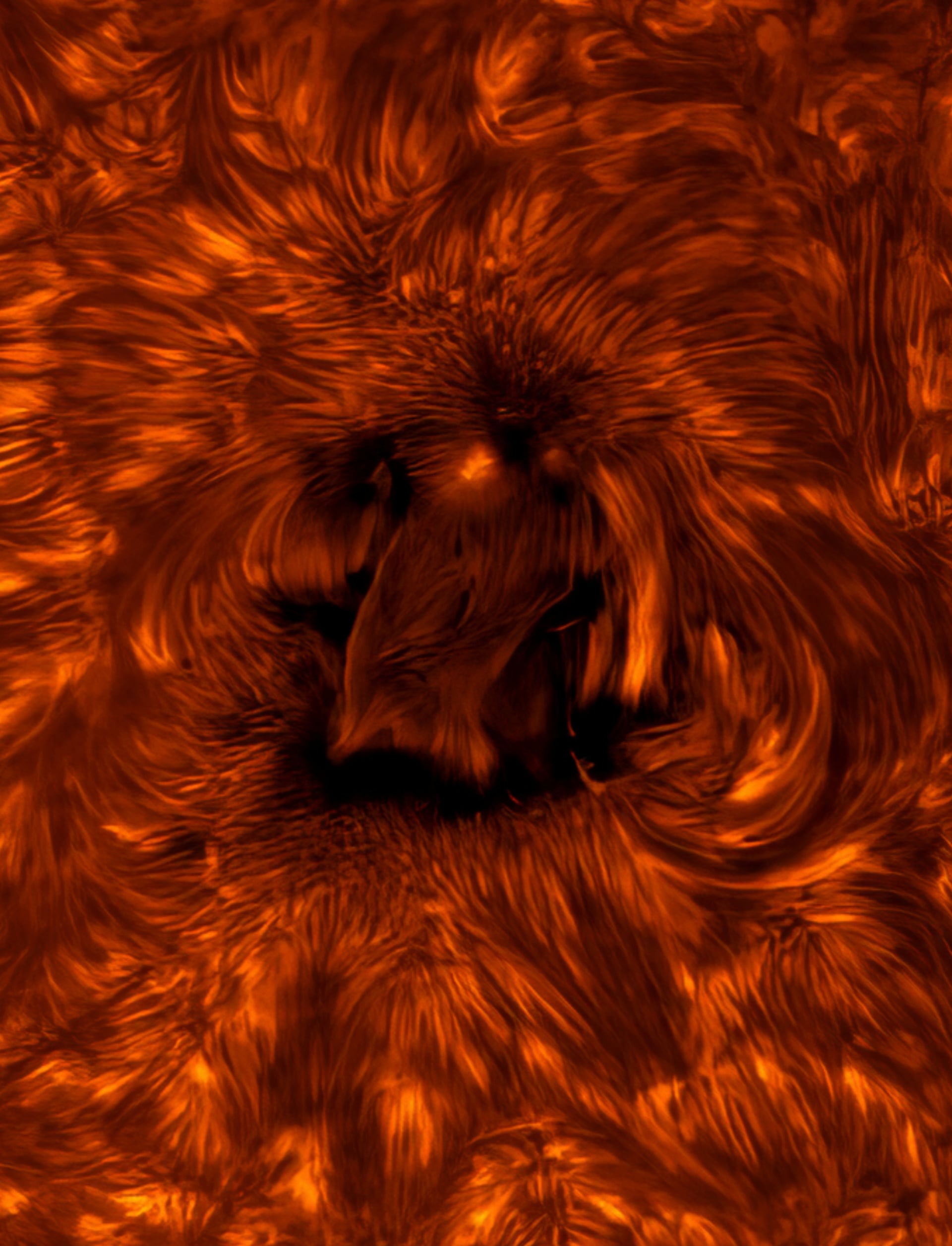 Солнечная бездна и огромная комета: 20 лучших фото с Astronomy Photographer of the Year 2025