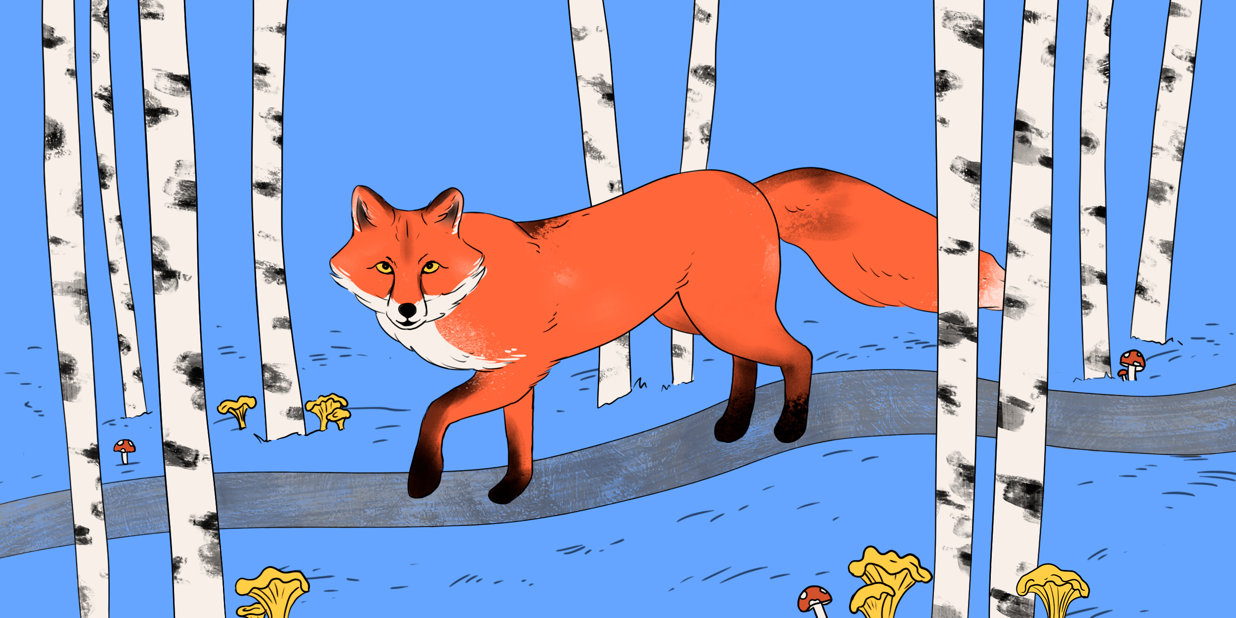 Что делать, если встретил лису Что делать, если встретил лису