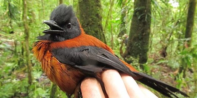 5 фактов о ядах, которые могут стать для вас неожиданностью 5 фактов о ядах, которые могут стать для вас неожиданностью