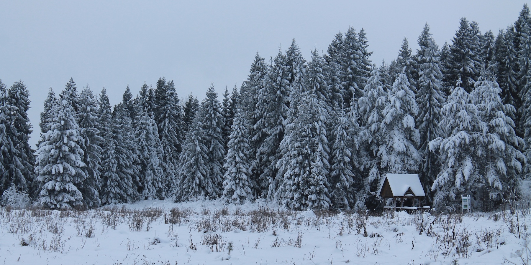 Куда поехать зимой, чтобы перезагрузиться: 5 экомаршрутов по России Куда поехать зимой, чтобы перезагрузиться: 5 экомаршрутов по России