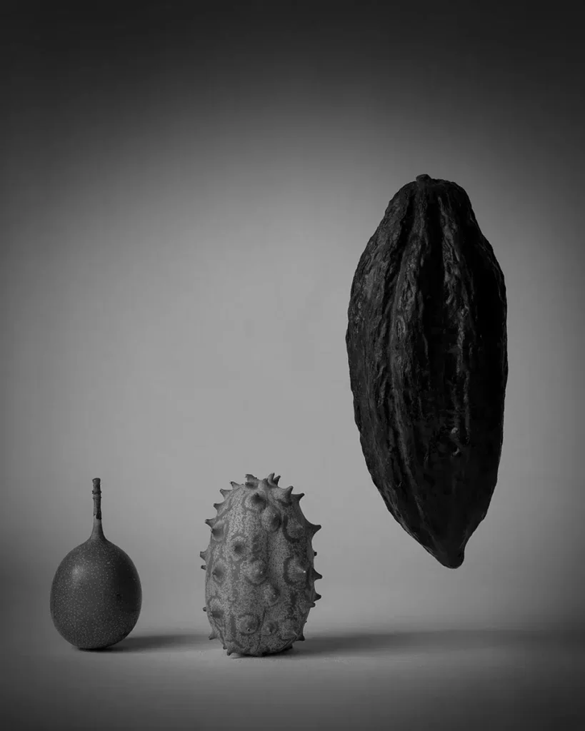 Лучшие минималистичные фото: объявлены победители Minimalist Photography Awards 2024 Лучшие минималистичные фото: объявлены победители Minimalist Photography Awards 2024