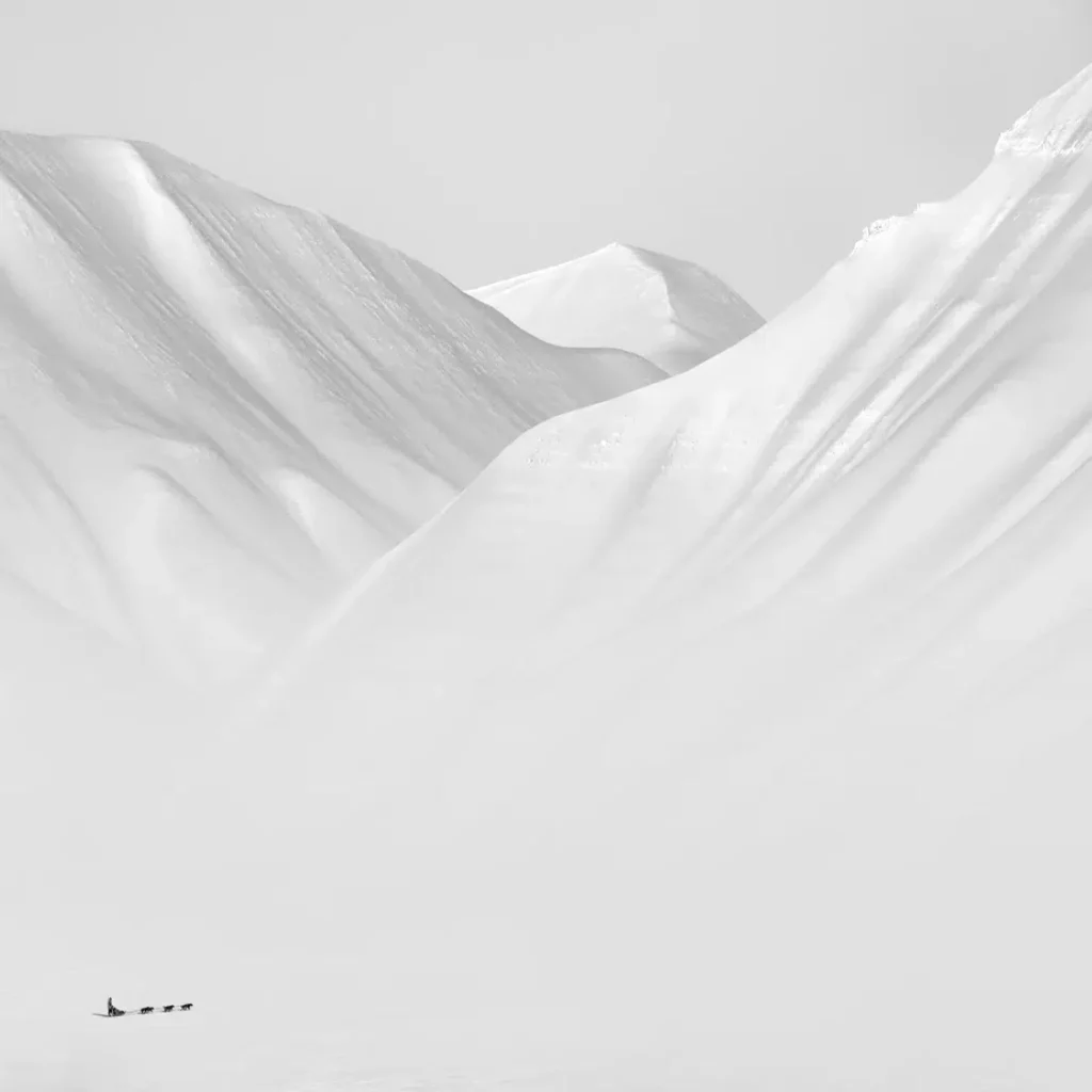 Лучшие минималистичные фото: объявлены победители Minimalist Photography Awards 2024 Лучшие минималистичные фото: объявлены победители Minimalist Photography Awards 2024