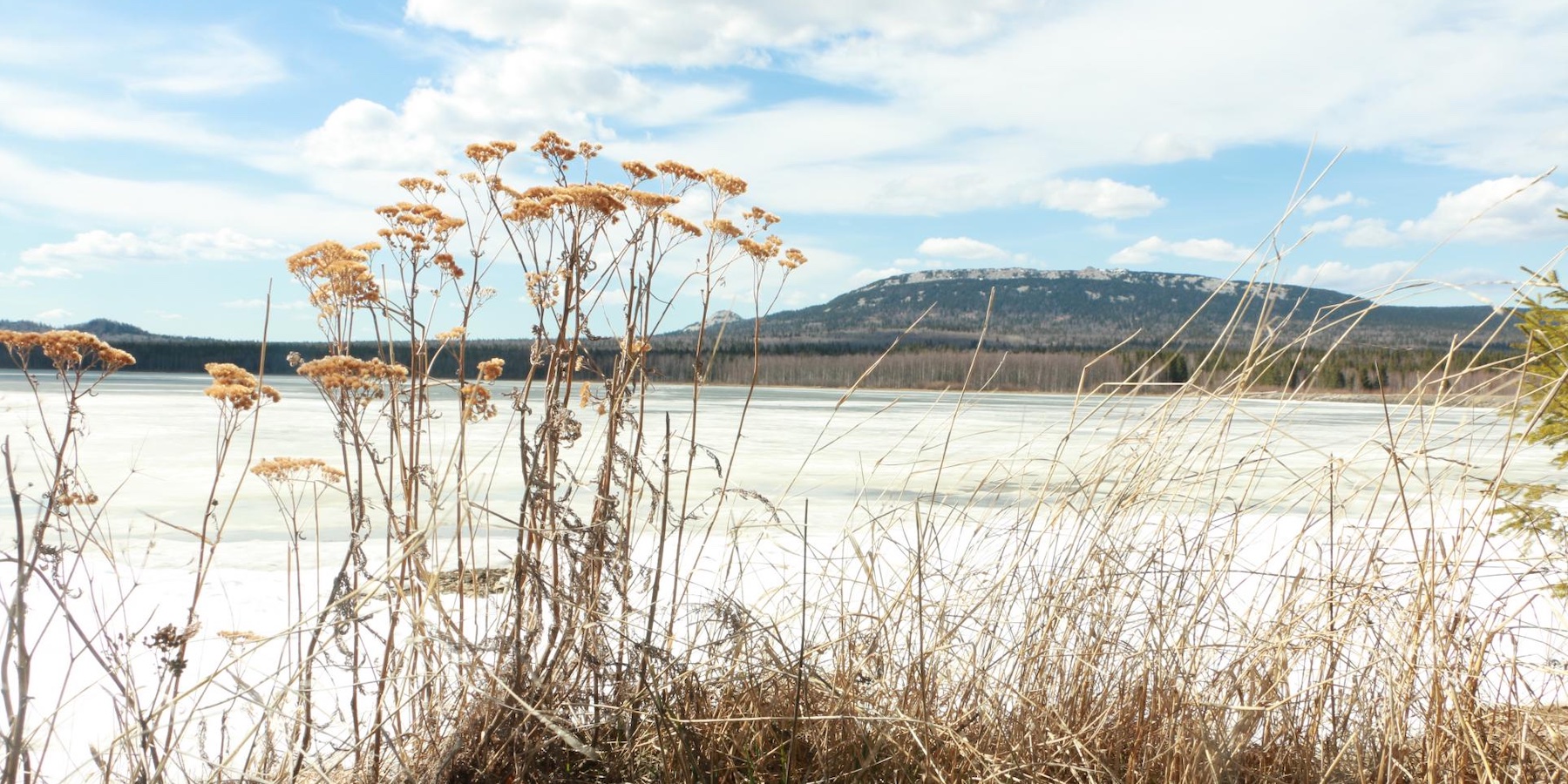 Куда поехать зимой, чтобы перезагрузиться: 5 экомаршрутов по России Куда поехать зимой, чтобы перезагрузиться: 5 экомаршрутов по России