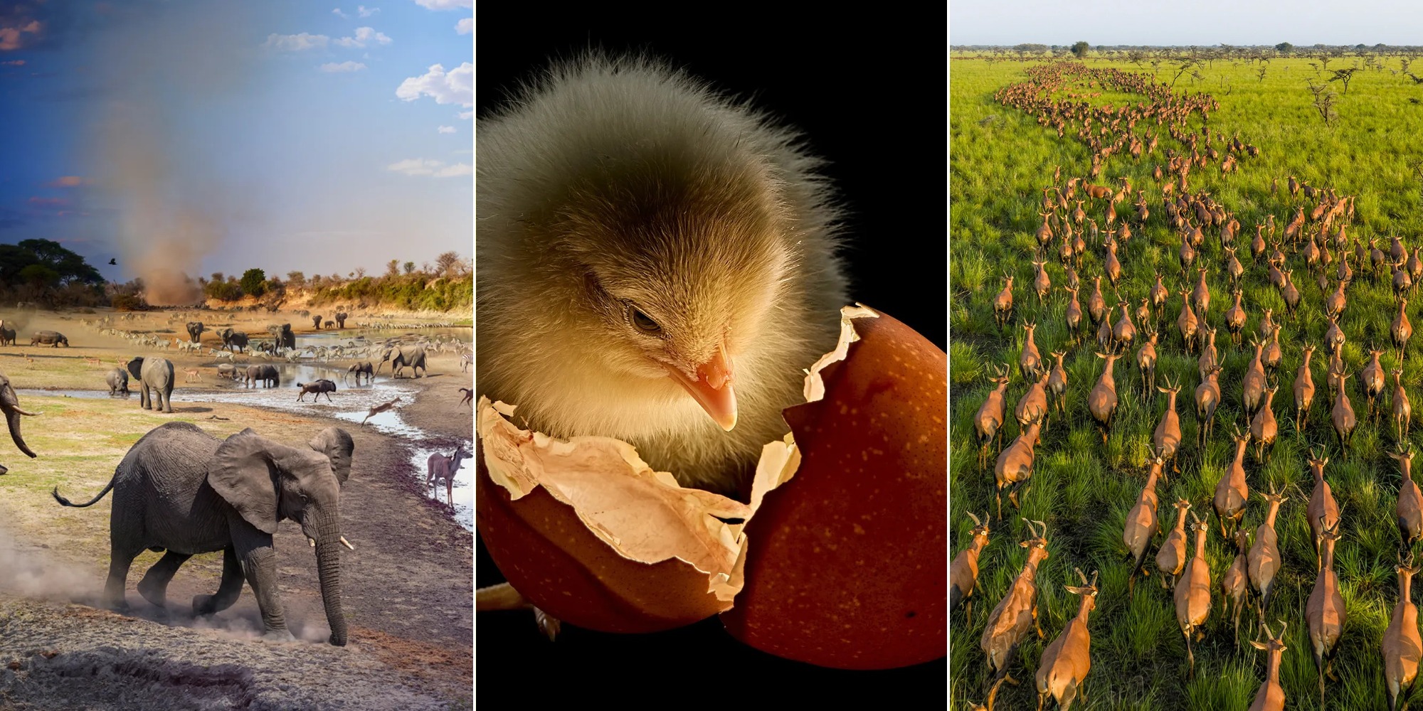 фото National Geographic 2025