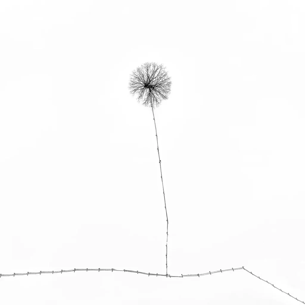 Лучшие минималистичные фото: объявлены победители Minimalist Photography Awards 2024 Лучшие минималистичные фото: объявлены победители Minimalist Photography Awards 2024