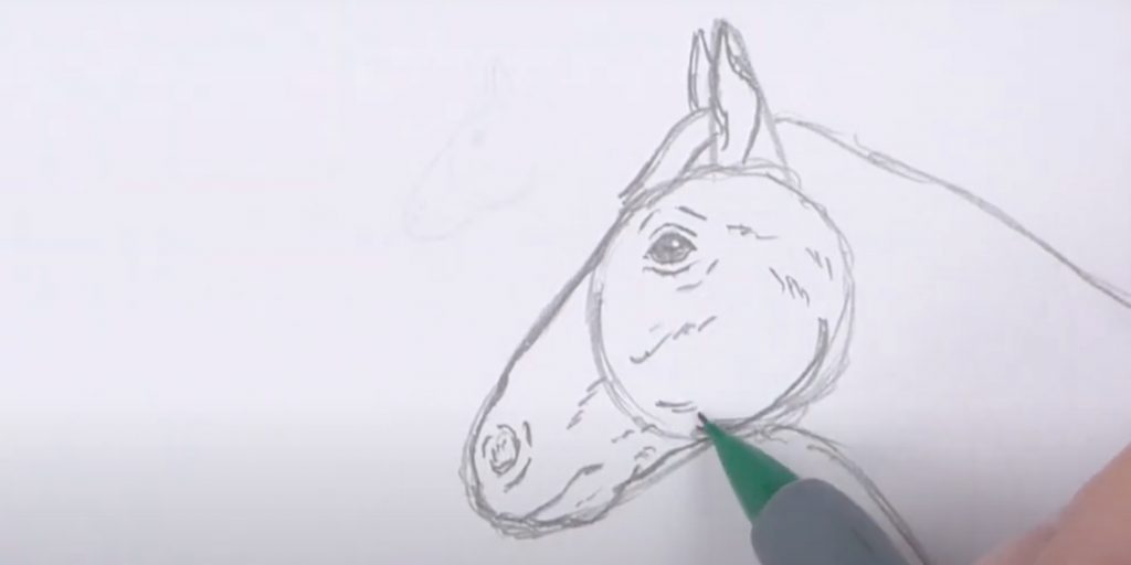 Как нарисовать лошадь &mdash; символ 2026&nbsp;года