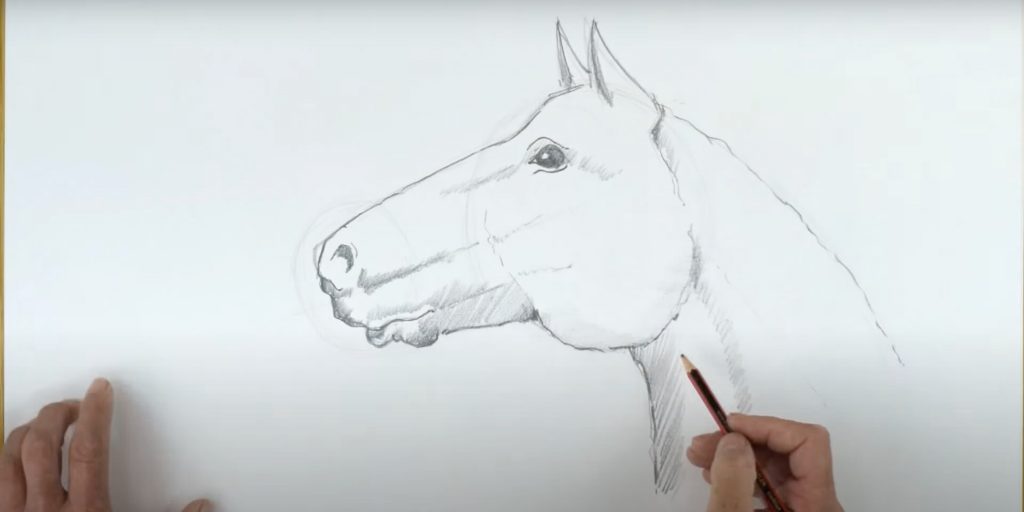 Как нарисовать лошадь &mdash; символ 2026&nbsp;года
