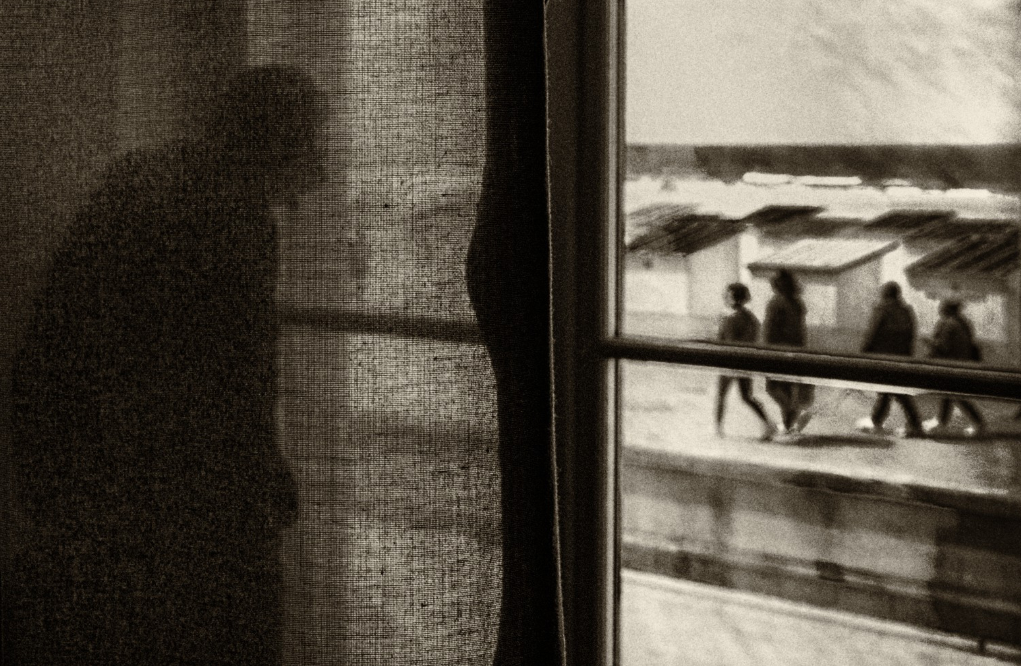 Изящные улитки и охотники за мёдом: 15 лучших фотографий с конкурса reFocus Photographer Of The Year&nbsp;2024