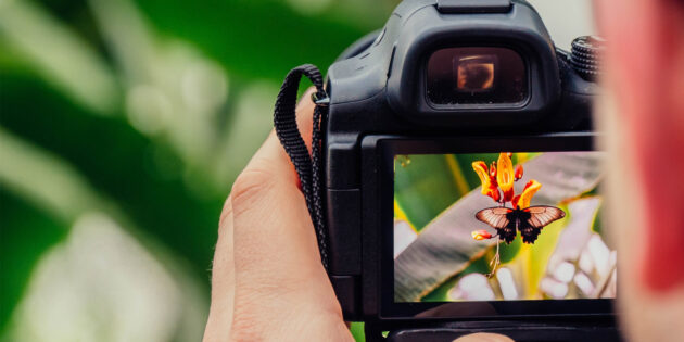 75 самых полезных ресурсов для фотографов