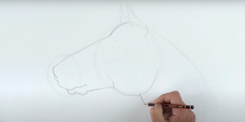Как нарисовать лошадь &mdash; символ 2026&nbsp;года