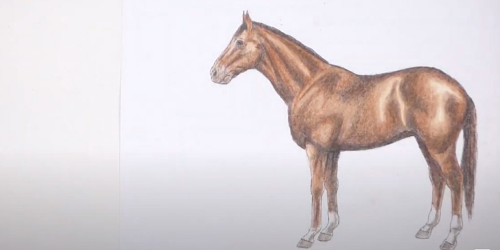 Как нарисовать лошадь &mdash; символ 2026&nbsp;года