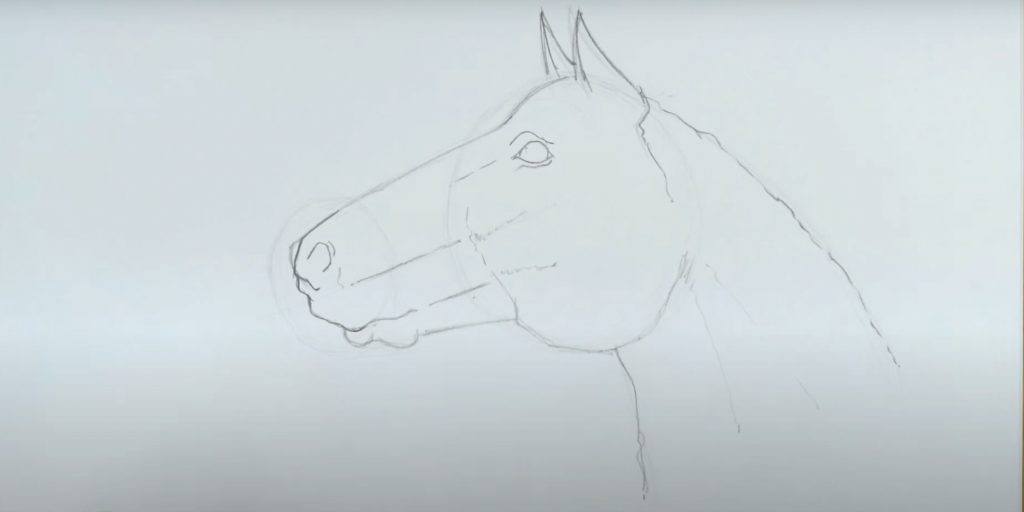 Как нарисовать лошадь &mdash; символ 2026&nbsp;года