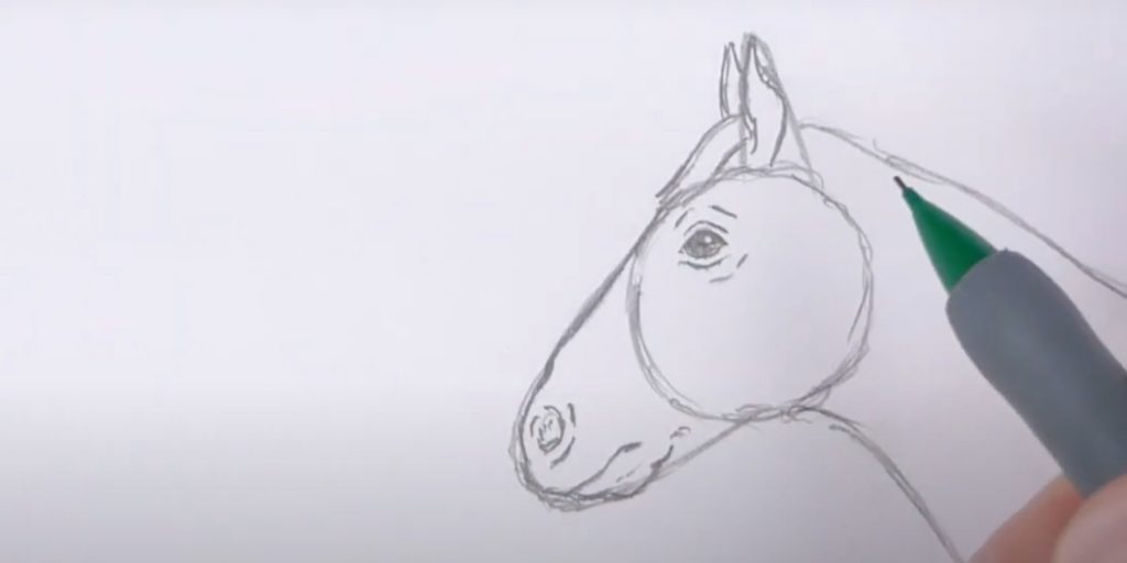 Как нарисовать лошадь &mdash; символ 2026&nbsp;года