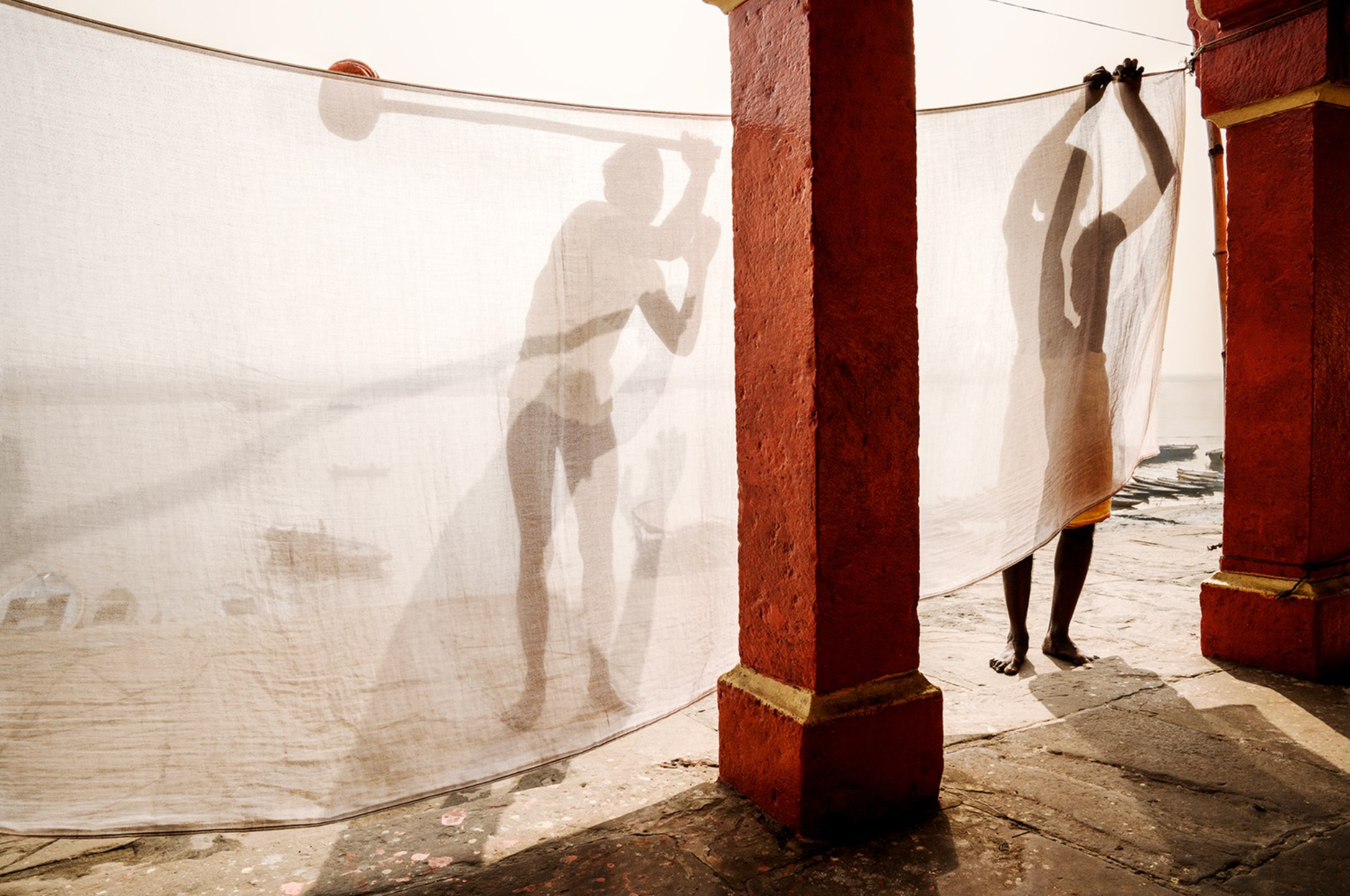 Изящные улитки и охотники за мёдом: 15 лучших фотографий с конкурса reFocus Photographer Of The Year&nbsp;2024