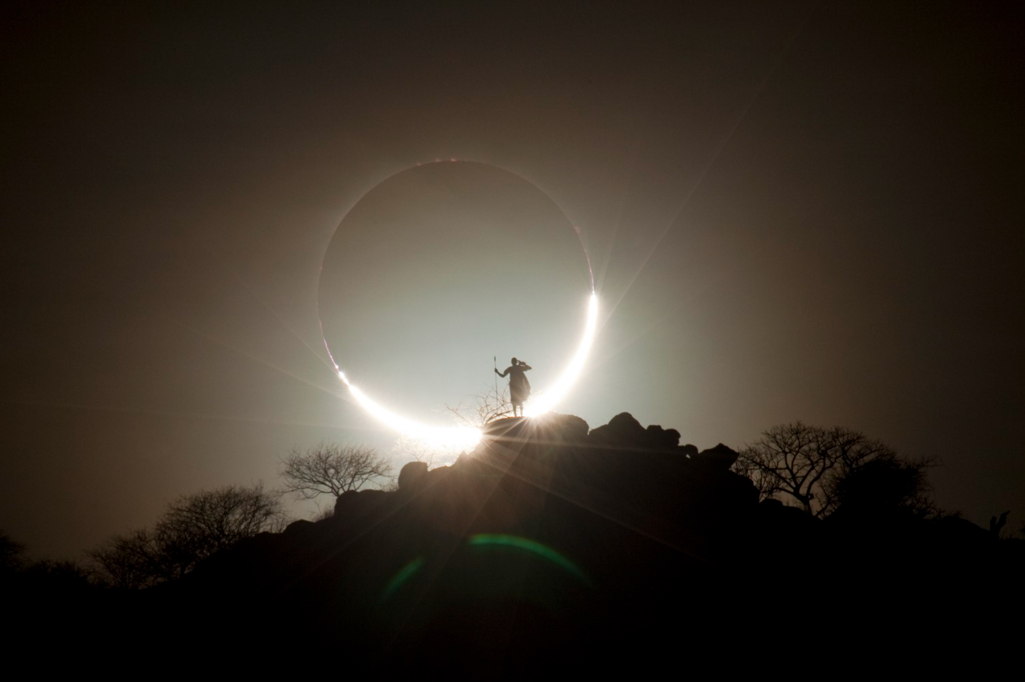 Изящные улитки и охотники за мёдом: 15 лучших фотографий с конкурса reFocus Photographer Of The Year&nbsp;2024