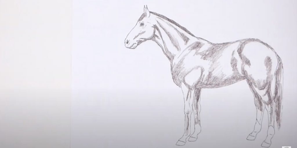 Как нарисовать лошадь &mdash; символ 2026&nbsp;года