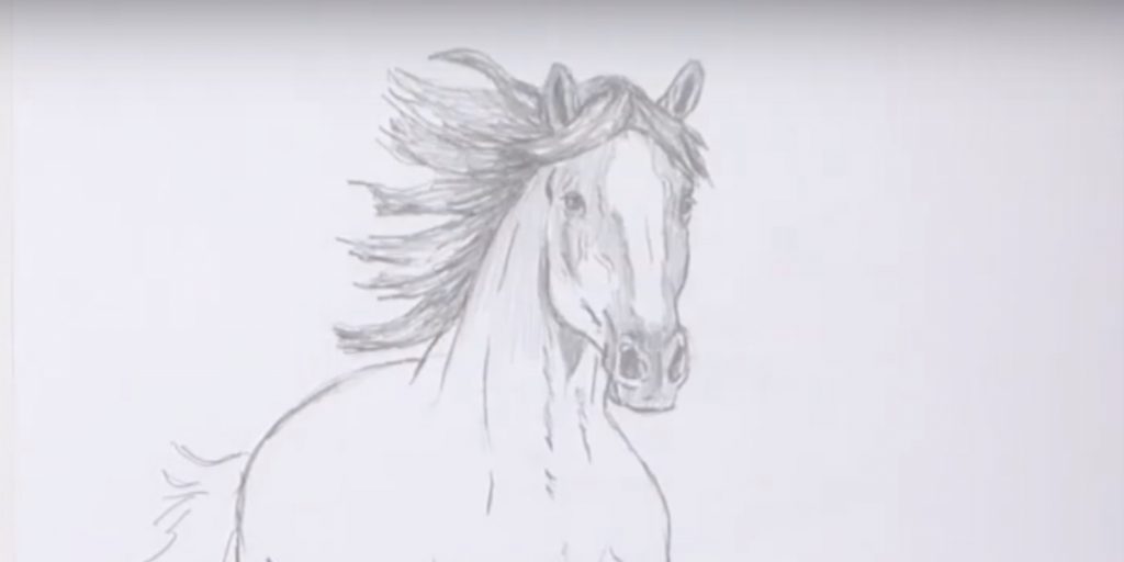 Как нарисовать лошадь &mdash; символ 2026&nbsp;года