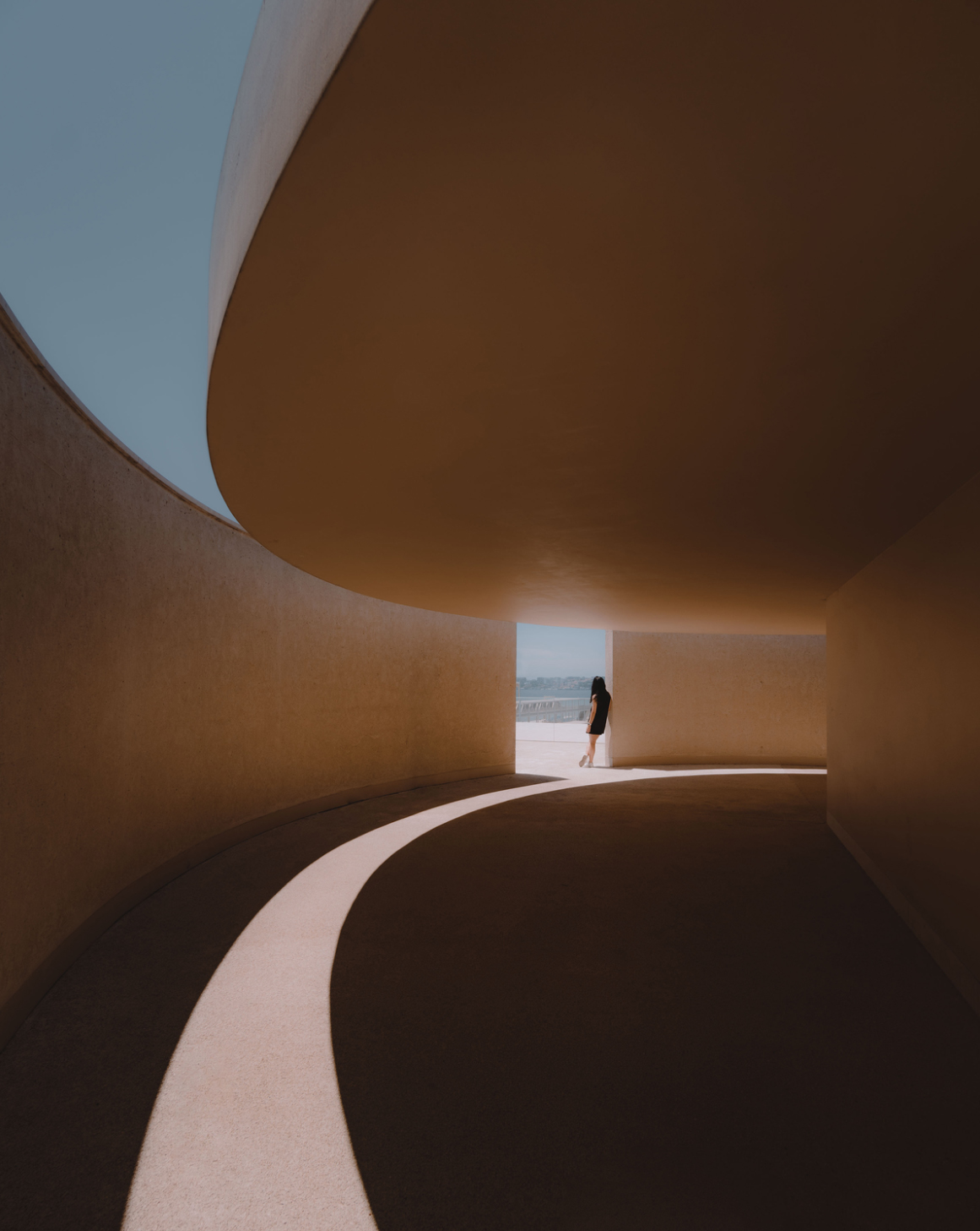 Изящные улитки и охотники за мёдом: 15 лучших фотографий с конкурса reFocus Photographer Of The Year&nbsp;2024