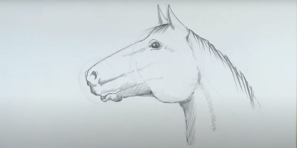 Как нарисовать лошадь &mdash; символ 2026&nbsp;года