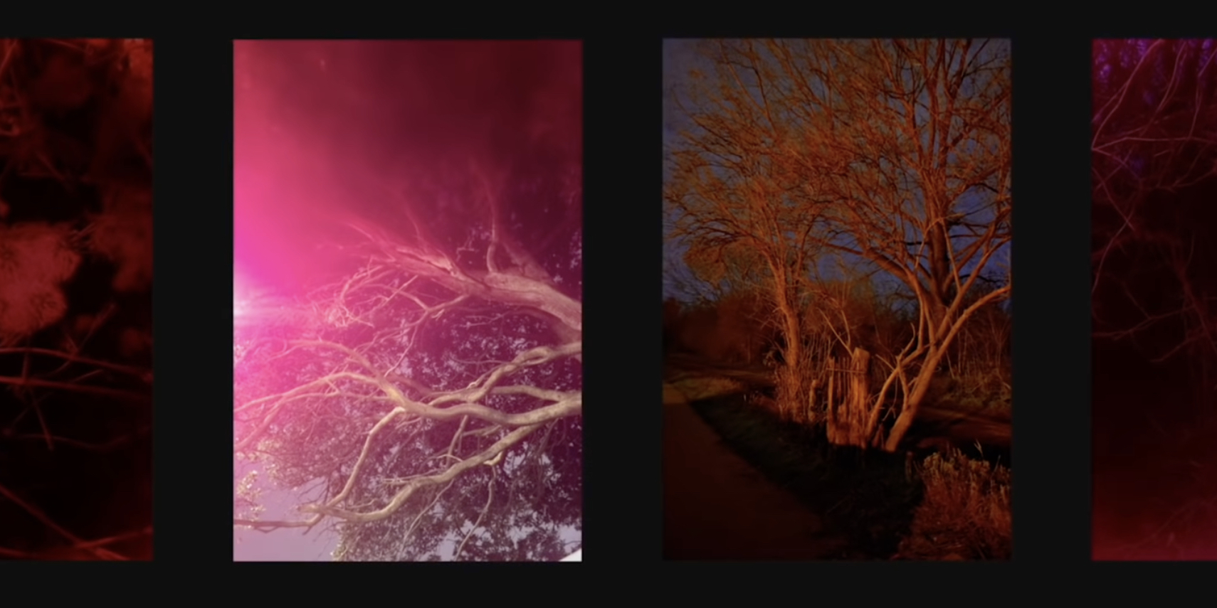 Apple рассказала, как делать креативные ночные фото на iPhone