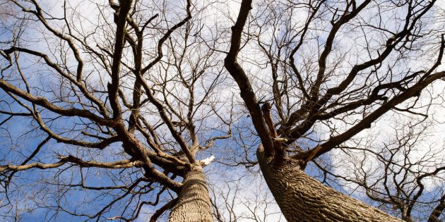Как при помощи фотографии рассказать историю: 8 полезных советов
