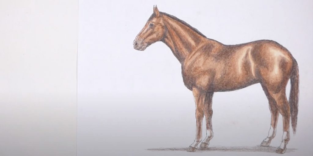 Как нарисовать лошадь &mdash; символ 2026&nbsp;года