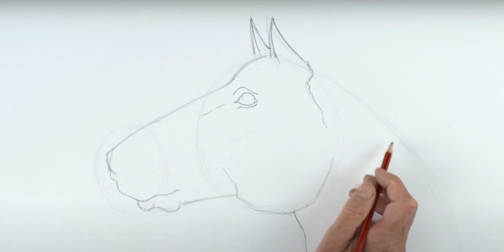 Как нарисовать лошадь &mdash; символ 2026&nbsp;года