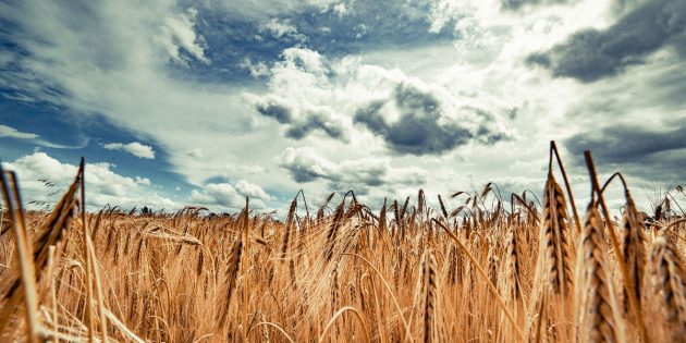 Как при помощи фотографии рассказать историю: 8 полезных советов